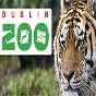 dublin-zoo-party