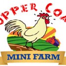 "Copper Coast Mini Farm, Waterford"
