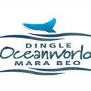 "Dingle Oceanworld Aquarium in Kerry"