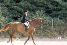 Dublin – Carrickmines Equestrian Centre