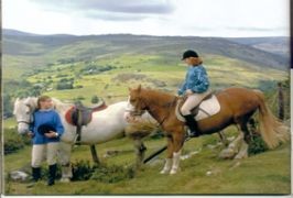 Mayo – Drummindoo Stud And Equitation Centre