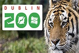 Dublin Zoo Camps