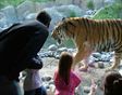 Science Week at Dublin  Zoo