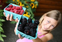 Donegal Town Farmers Market