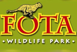 Fota Wildlife Park Events