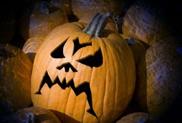 Meath – Causey Halloween Experience