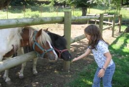 Kerry – Irish Adventures Horse Riding