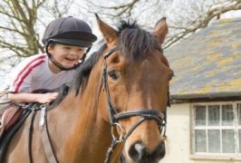 Down – Mount Pleasant Horse Riding And Pony Trekking