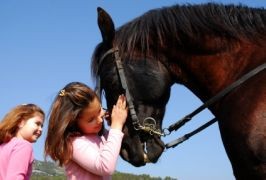 Leitrim – Moorlands Equestrian Centre