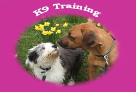 K9 Training