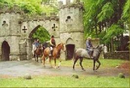 Down – Mourne Trail Riding Centre