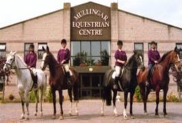 Westmeath- Mullingar Equestrian Centre