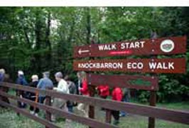 Slieve Bloom Geology and Natural History Festival