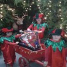 Christmas At Leahys Farm
