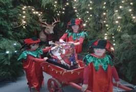 Cork – Santa in the Barn At Leahys Open Farm