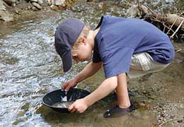 Panning For Gold