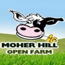 "Easter Family Fun at Moher Hill Open Farm"