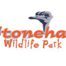 "Stonehall Visitor Farm & Wildlife Park Limerick"