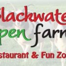 "Blackwater Open Farm and Fun Zone in Wexford"