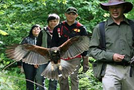 Burren Birds of Prey Centre Galway