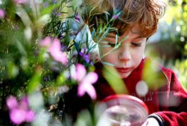 "Botanic Gardens Guided Discovery Tour for Kids"