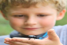 "Bug Walk in Powerscourt Gardens"