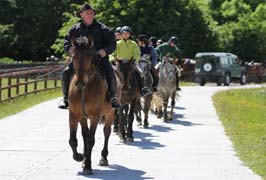 Galway – Dartfield Horse Museum