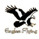 "Eagels Flying Sligo"