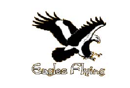 Sligo – Eagles Flying – The Irish Raptor Research Centre