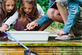 Pond Dipping – Botanic Gardens Free Event