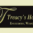 "Treacys Hotel Enniscorthy in Wexford"