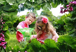 "Bug Festival - Millstreet Country Park"