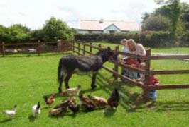 "Greenan Farm Museum And Maze"