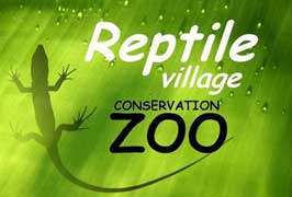 Kilkenny – Reptile Village