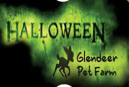 "Halloween Event in Glendeer Pet Farm