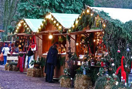 "Christmas Markets"