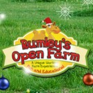 "Rumley’s Farm Christmas Experience"