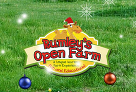 "Rumley’s Farm Christmas Experience"