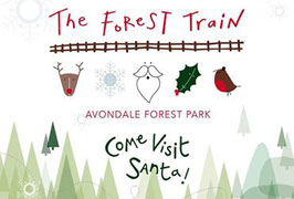 "The Forest Train to visit Santa"