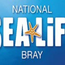"Sea Life Centre Bray"