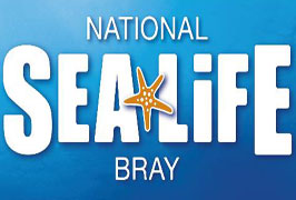 "Sea Life Centre Bray"