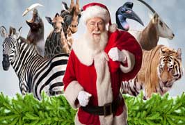 "Visit Santa Grotto At Dublin Zoo"