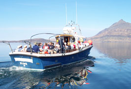 "Boat Trips and boat Tours in Ireland"