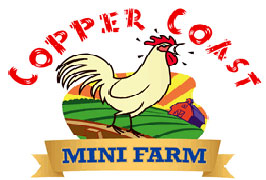 Waterford – Copper Coast Mini Farm