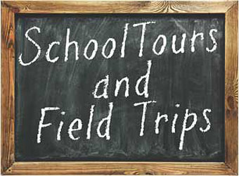 "The School of Irish Archaeology Summer Camps"