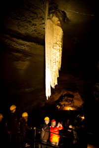 "Doolin Cave for family, groups and school tours"