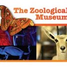 "The Zoological Museum"