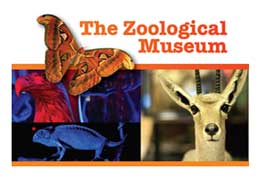 Dublin – The Zoological Museum