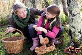 The Great Mushroom Forage Workshop