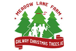 Galway – “Pick Your Own” Christmas Tree Farm